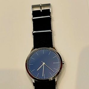 Skagen Jorn series watch with blue face